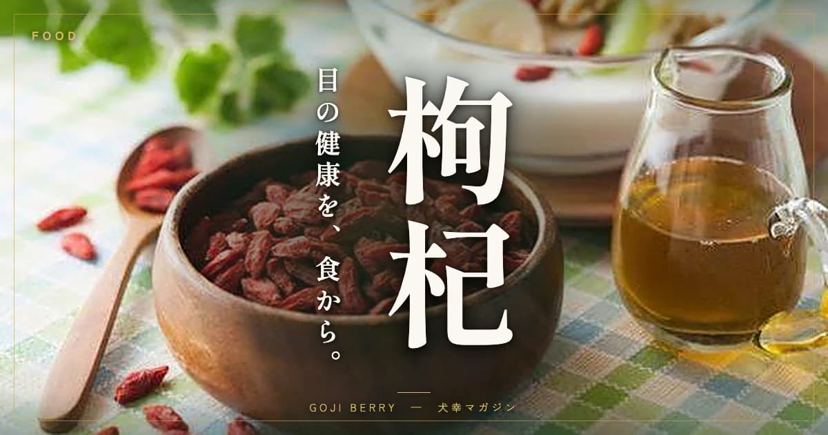 犬の目にいい食べ物はある？瞳の健康を支える「クコの実」の栄養と与え方