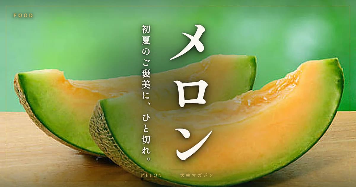 犬にメロンはあげていい？初夏のご褒美にする正しい与え方と適量