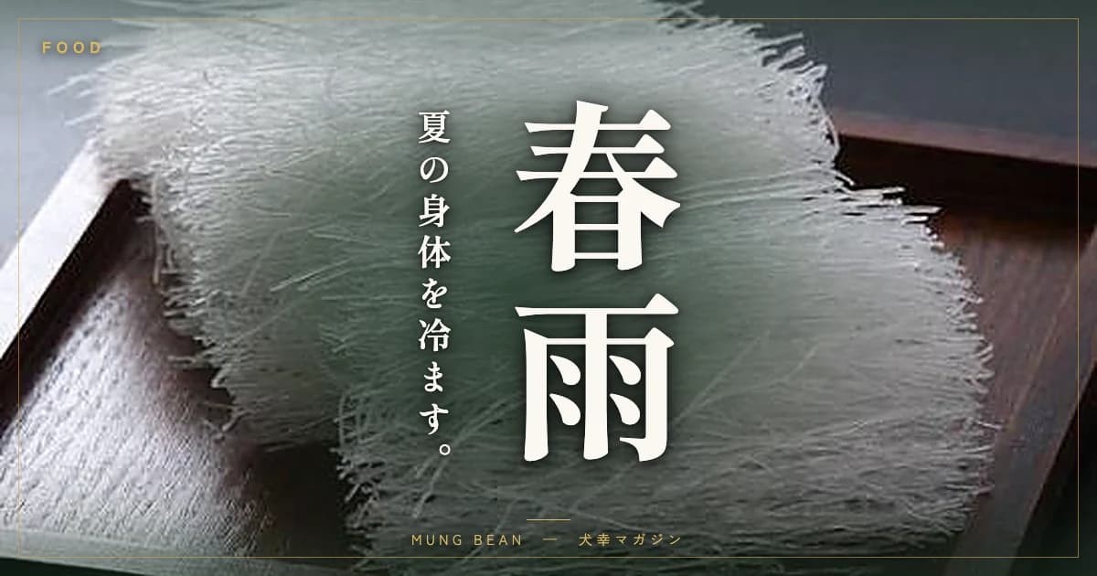 犬に春雨はあげていい？緑豆春雨の適量と与え方・夏の水分補給